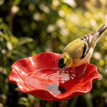 Lade das Bild in den Galerie-Viewer, Vogelblüten - Handgefertigte Vogeltränke in Blütenform | 2er-Set
