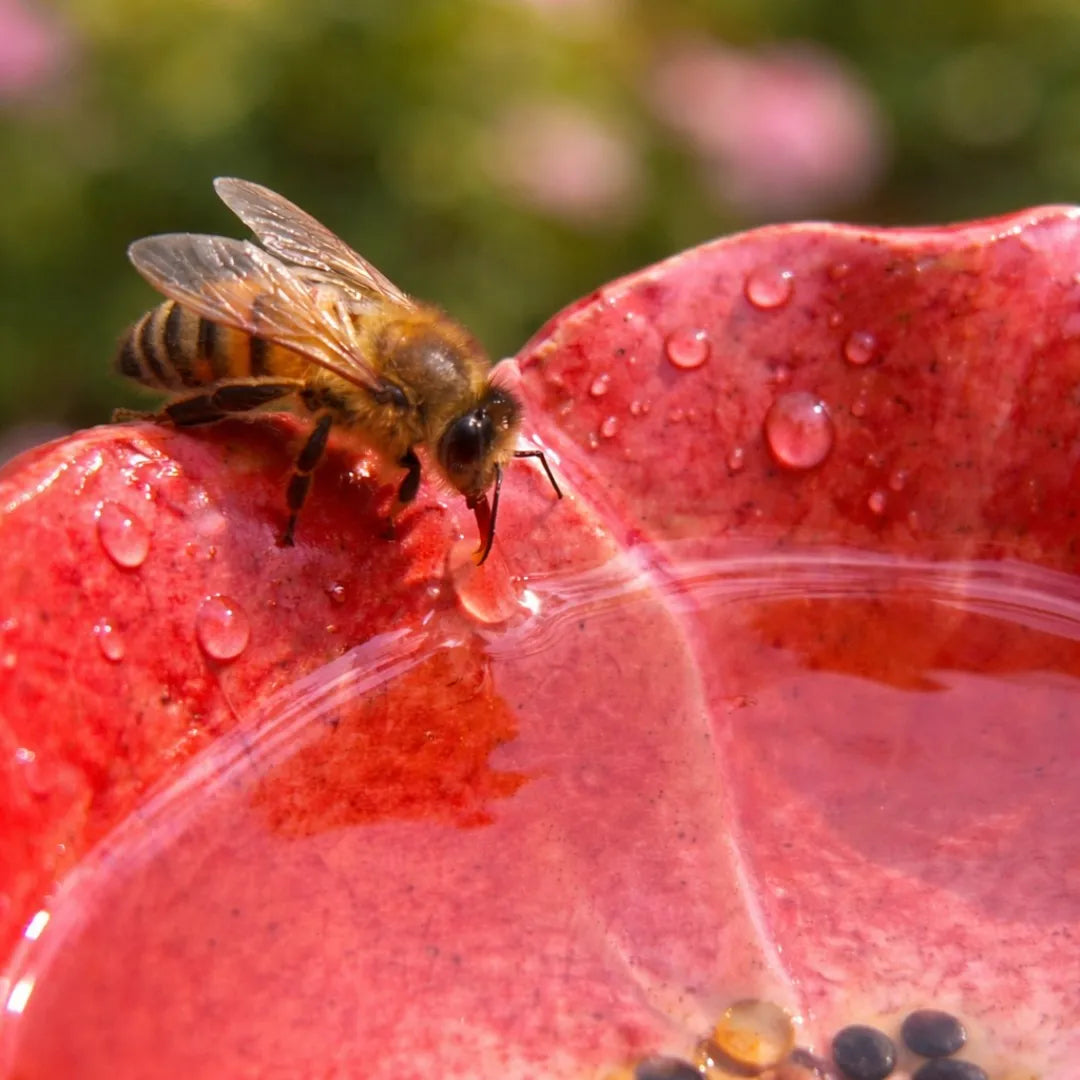 Handgemachte Bienenblüten – Wetterfeste Keramik-Tränken, 4er-Set