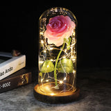 Die ewige Rose - ein Geschenk, das immer leuchtet - Rosa Rose
